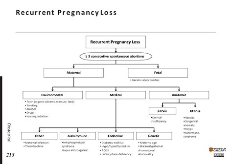 recurrent pregnancy loss blackbook blackbook