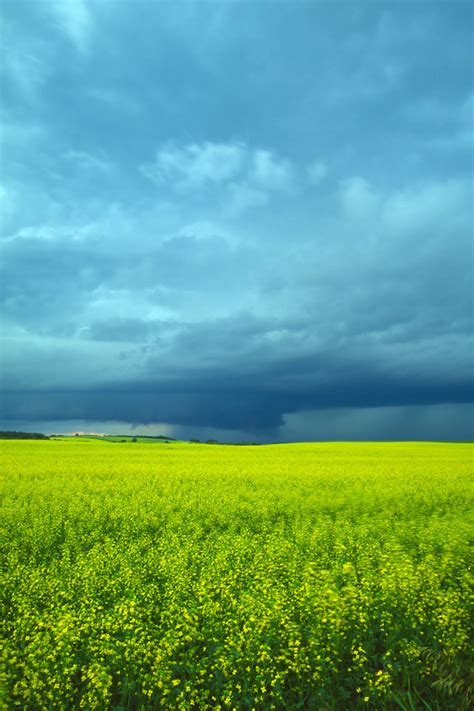 Approaching Storm Over Canola Field This Image Is Free To Flickr