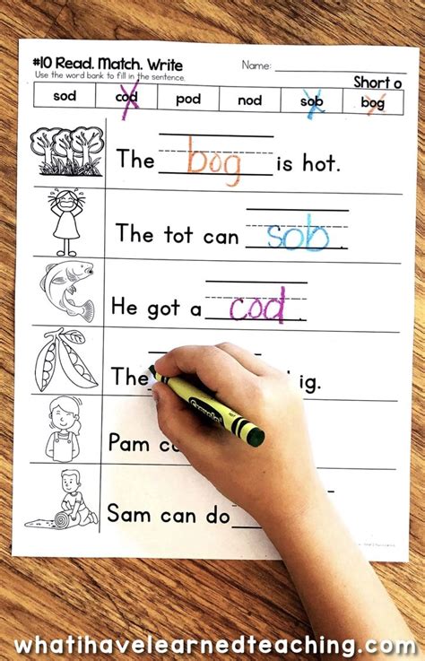 Short O Phonics Worksheets – Short O CVC Words | Cvc words, Phonics