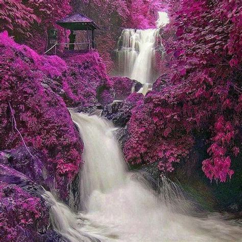 Flower Waterfall Nature Beauty