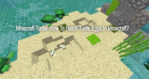 Minecraft Turtle How To Hatch Turtle Eggs In Minecraft Abn News