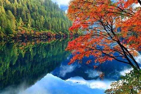 A Jiuzhaigou Valley China Fall Colors Reflection By Prasit