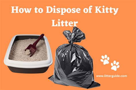 how to dispose of kitty litter quick guide for hygienic home
