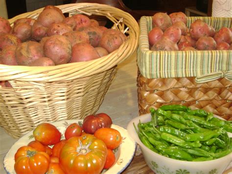 Don't put them under your sink or in your refrigerator. TSG: Storing And Freezing Harvested Potatoes