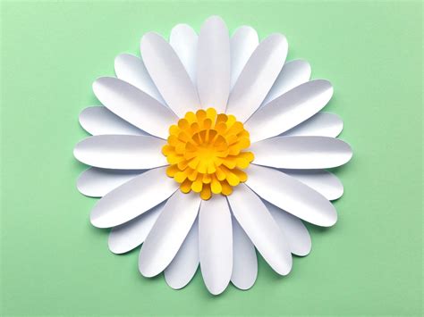 Easy Diy Daisy Gerbera Paper Flower Template Svg And Pdf To Cut With