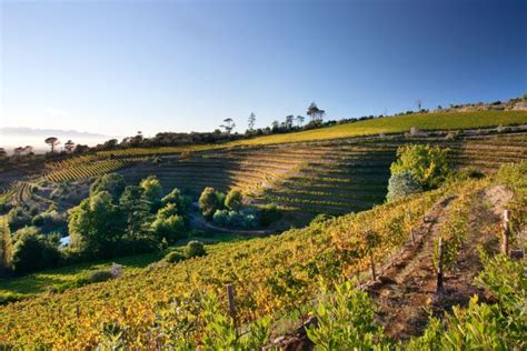 Boat tours • other outdoor activities. Stop 26: Eagle's Nest Cape Town | City Sightseeing