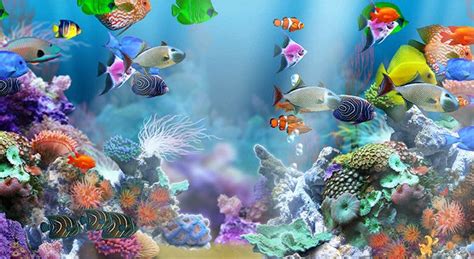 50 Best Aquarium Backgrounds Free And Premium Templates