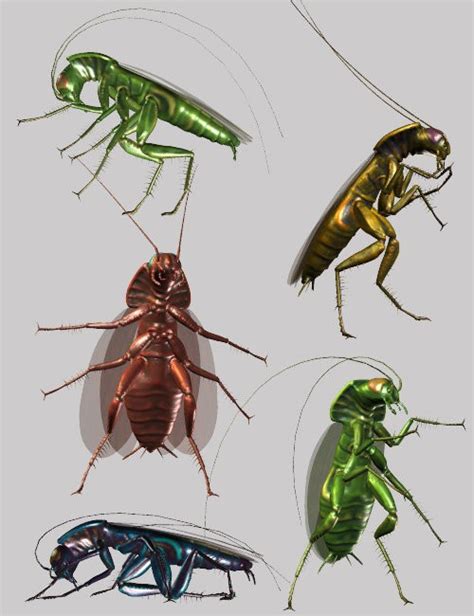 پرستو خانم جنده حشری شده 32 sec. Insect-I-Vore The Roach | Inspects and Spiders for Daz Studio and Poser