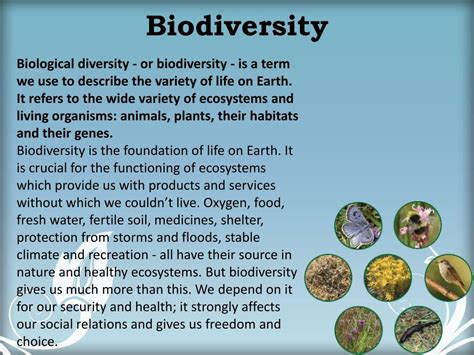 Ppt Climate Change And The Impacts On Biodiversity Powerpoint