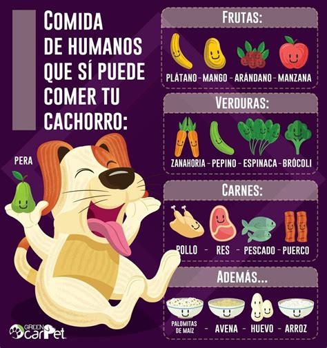 Qué Puede Comer Mi Perro Perros Alimento Perros Alimentacion Perros