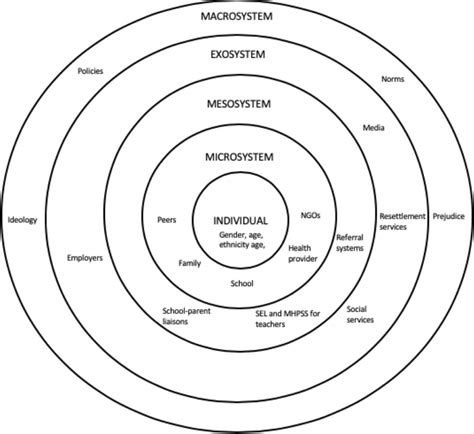 Adapted Illustration Of The Bioecological Theory Bronfenbrenner