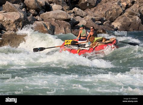 Rafting Down Snow Hole Rapids With A Dog On Idahos Lower Salmon River