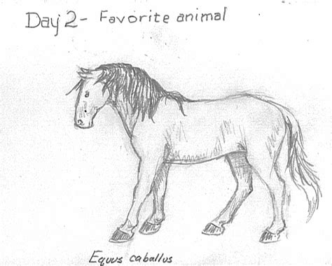 30 Day Drawing Challenge Day 2 Favorite Animal Paleopix
