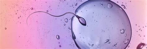 Dec 20, 2017·1 min read. In vitro Fertilisation (IVF) | VivaNeo