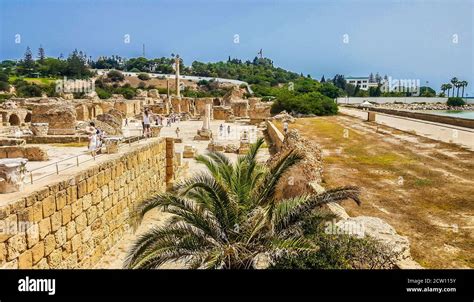 Ruins Of Ancient Carthage Tunis Tunisia Stock Photo Alamy