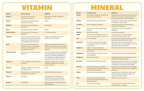 Printable Vitamin And Mineral Deficiency Symptoms Chart Mineral Chart