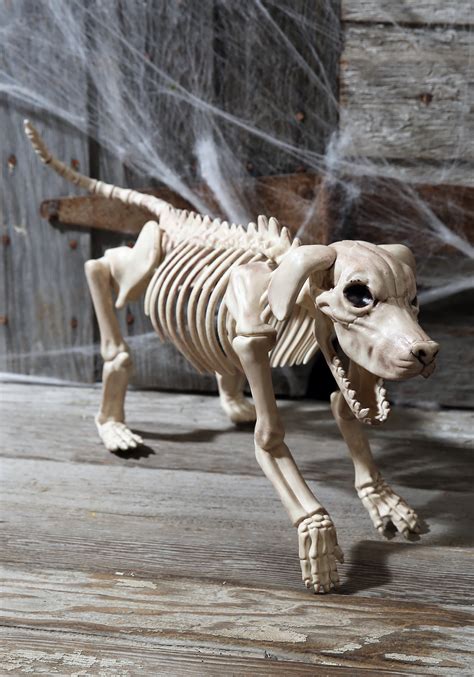 Beagle Bonez 20 Skeleton Dog