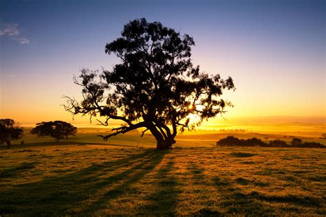Very mild (max 17°c on wed afternoon, min 11°c on tue night). Das Wetter in Australien - so unterschiedlich ist das Klima