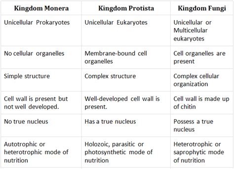 Explore Kingdom Monera Protista And Fungi And Their Characteristic Riset