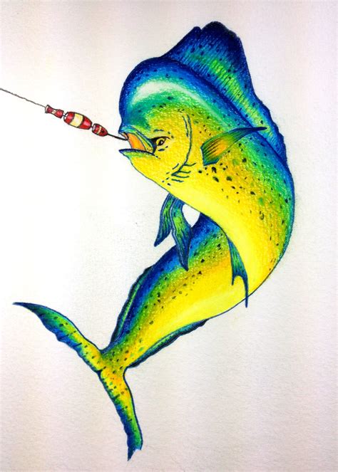 Fish Mahi Mahi Hooked Up Colored Pencil Artist David Feldkamp