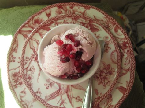 Canela Kitchen Gloria No Churn Pomegranate Ice Cream Helado De