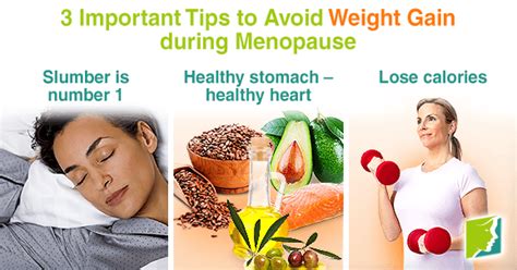 3 Important Tips To Avoid Weight Gain During Menopause Menopause Now