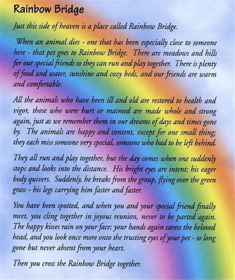 One is a prose poem whose original creator is uncertain. My Dog Crossed The Rainbow Bridge Yesterday | rmactsc