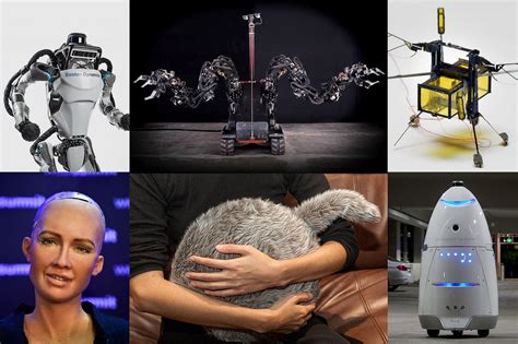 The 11 Best Worst And Weirdest Robots Of 2017 The Verge