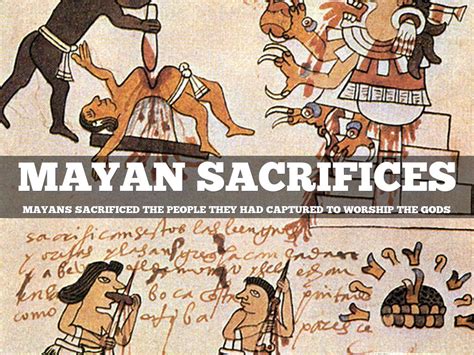 Ancient Maya By Shipleygators5k9