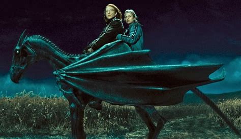 Top 10 Strongest Magical Creatures In Harry Potter Hobbylark