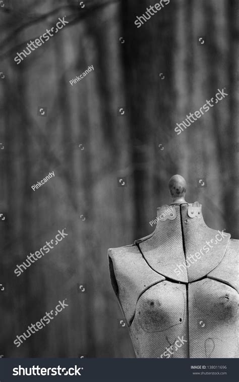 Abandoned Mannequin Forest Black White Stock Photo 138011696 Shutterstock