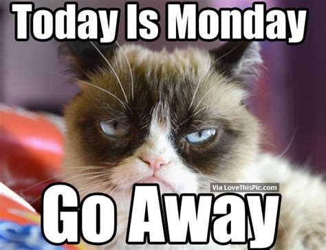 Today Is Monday Go Away Pictures Photos And Images For Facebook