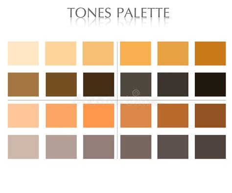 Skin Tones Color Palette Vector Stock Vector