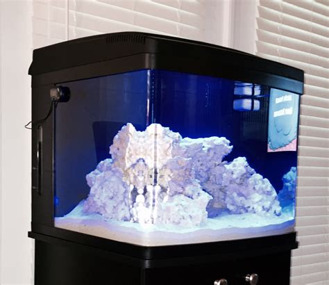 Rare Earth Corals Biocube 29 Tank Build Reef2reef Saltwater And Reef