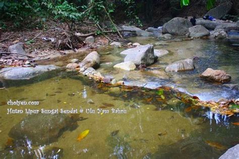 Mandi di sungai sendat, ulu yam. Hutan Lipur Sungai Sendat @ Ulu Yam Bahru - Mimi's Dining Room