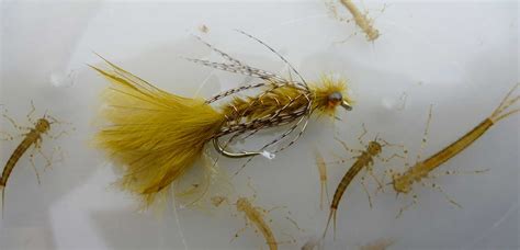 Tying Imitative Or Suggestive Fly Patterns For Stillwater Trout Hook