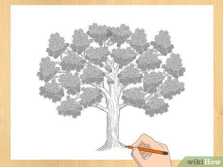 3 manières de dessiner un arbre wikiHow