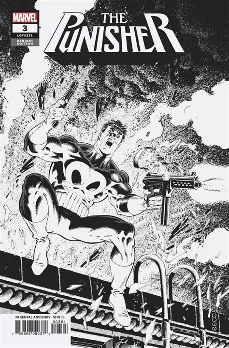 Punisher Vol 12 3 C Punisher Comics