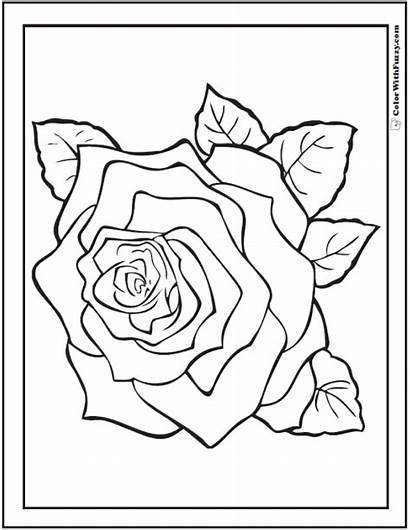 Rose Coloring Pages Flower Printable Pdf Printables