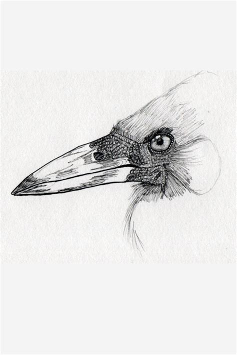 Art Print Of A Rook Bird On Matt Photo Paper 5x7 With Mount Etsy