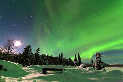 Tour Del Circolo Polare Artico E Aurora Boreale Con Partenza Da Fairbanks