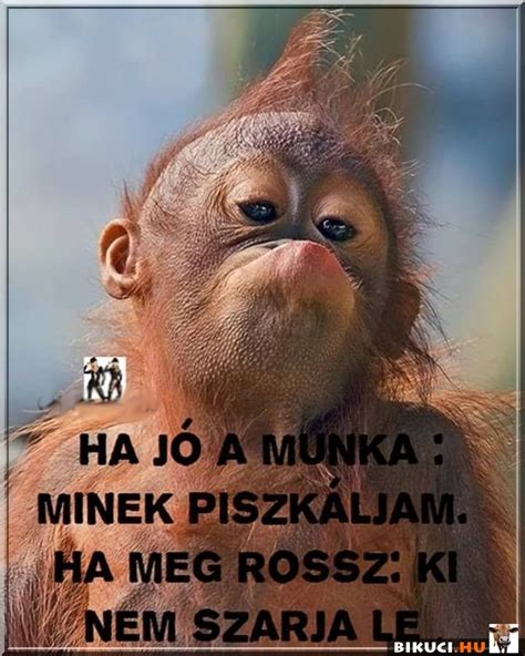 Ha jó a munka Vicces képek humor vicces vicceskep vicceskepek