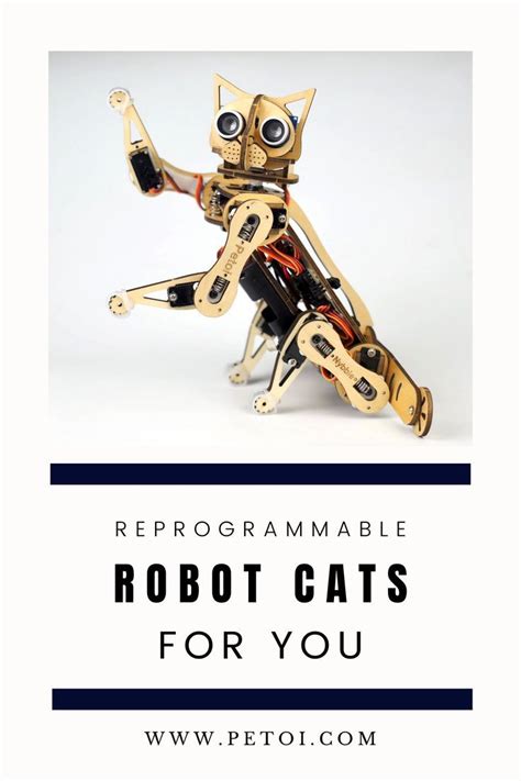 Petoi Nybble Robot Cat Collection Robotics Kit For Roboticsstem In