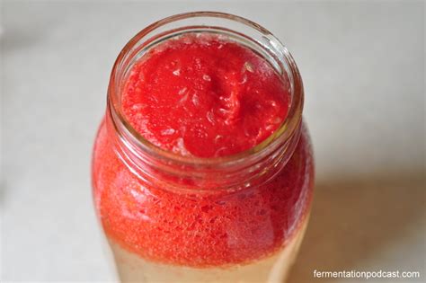 Watermelon Soda Recipe The Fermentation Podcast