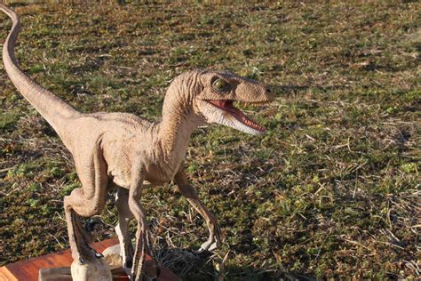 Jurassic Park Velociraptor 2 By Yankeetrex On Deviantart