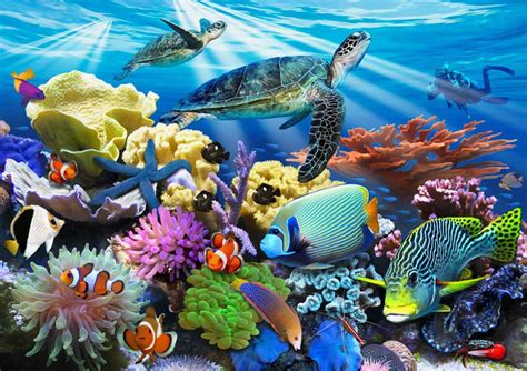 Reef Life Wall Mural By Howard Robinson Murals Your Way