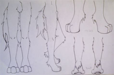 Male Foot Paw Reference By Shiahoupanda Fur Affinity Dot Net