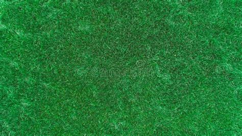 Beautiful Green Grass Texture Stock Image Image Of Garden Field