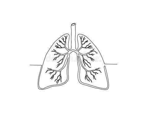Continuous One Line Drawing Of Human Lungs Lungs Organ Line Art