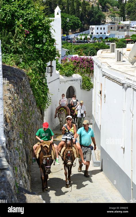 Donkey Rides Up To Acropolis Of Lindos Lindos Rhodes Rodos The
